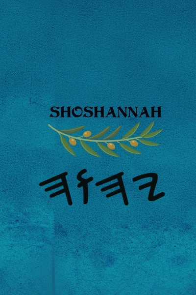 Shoshannah - Paperback 6×9